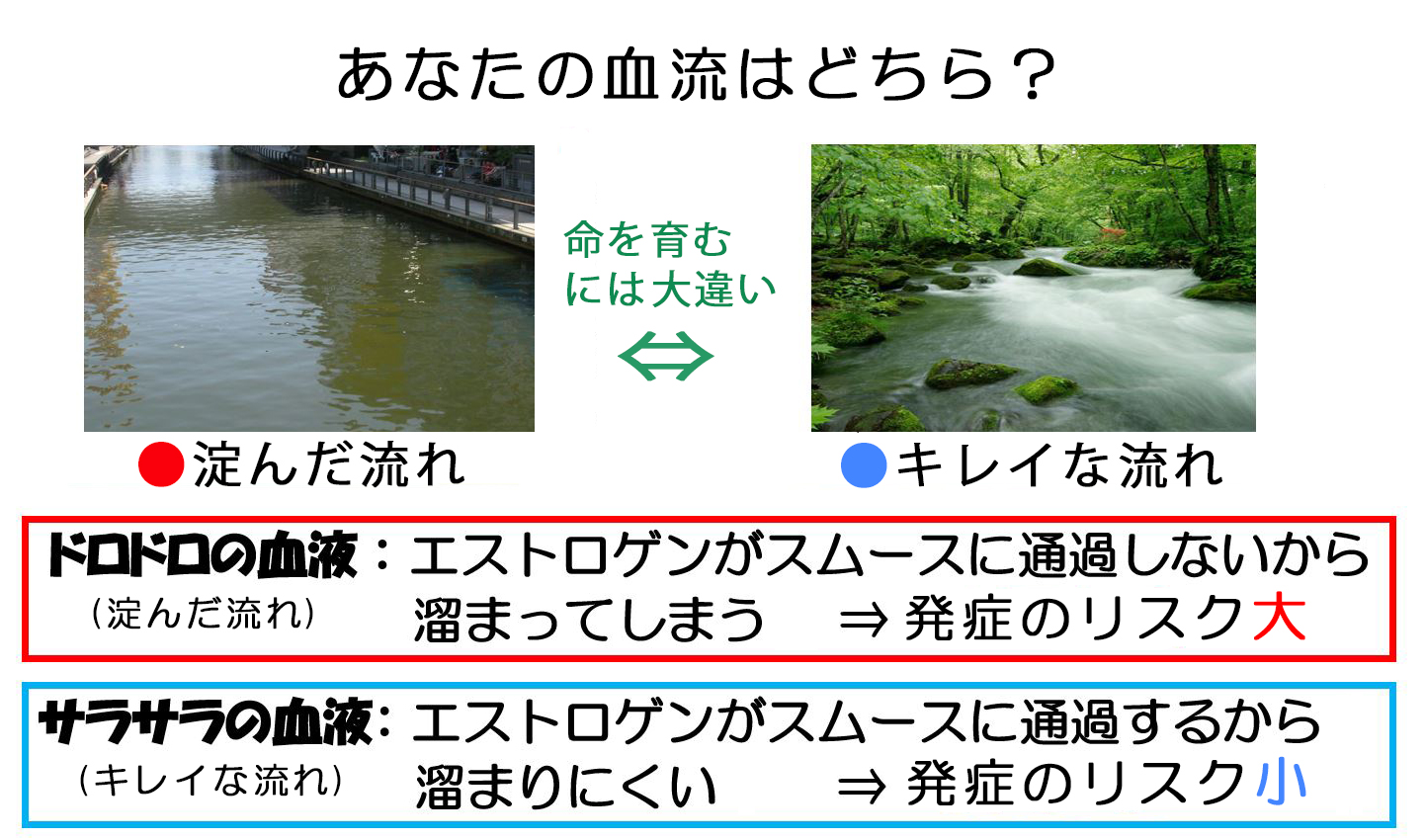 子宮筋腫 不妊症 がん 漢方 治療 駒込 スコヤカ薬局　川の図