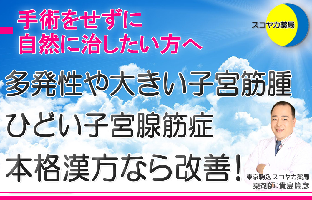 子宮筋腫・腺筋症スコヤカ薬局筋腫腺筋ヘッダー